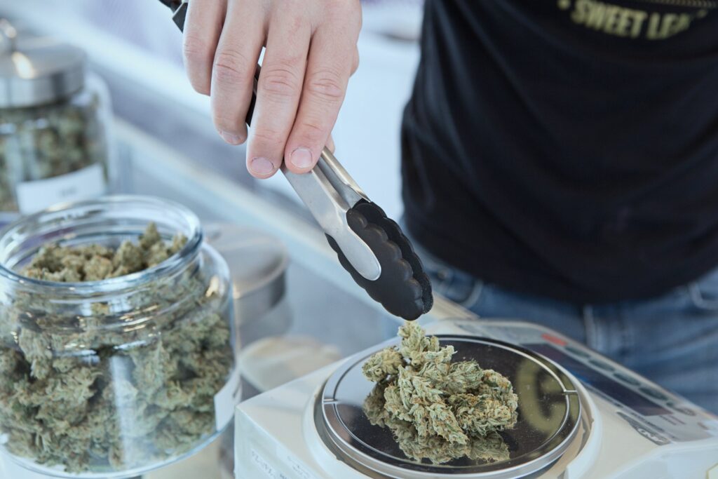medical-marijuana-get-budding-72798