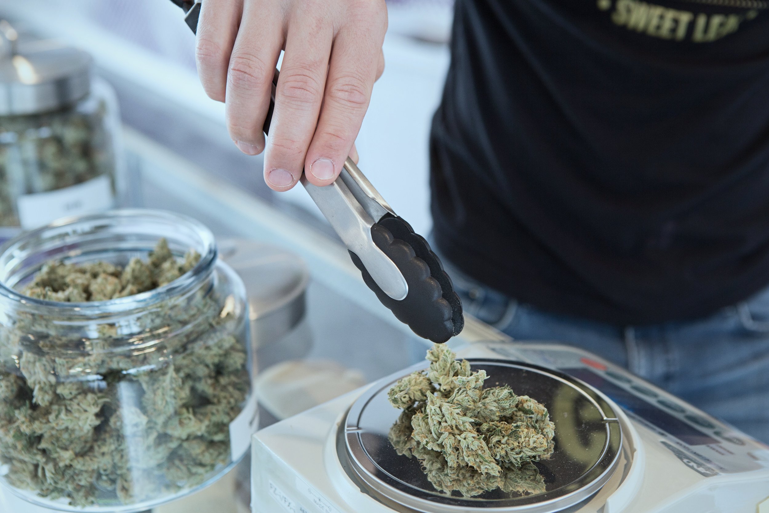 medical-marijuana-get-budding-72798